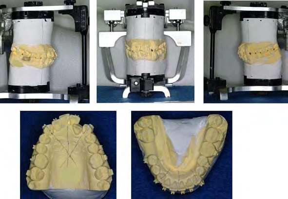 270 Orthodontics Basic