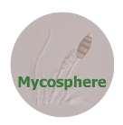 Mycosphere 6 (1): 122 126 (2015) ISSN 2077 7019 www.mycosphere.org Article Mycosphere Copyright 2015 Online Edition Doi 10.5943/mycosphere/6/1/12 Delitschia gigaspora var.