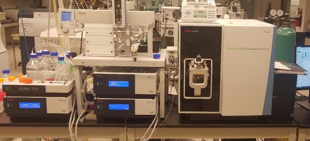 Thermo Scientific Altis LC-Triple Quadrupole MS UltiMate 3000 UHPLC System with a binary solvent system which allows 4 different mobile phases, but only 2 at a time.