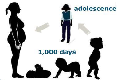 BREAKING THE CYCLE OF POVERTY BY ADDRESSING THE 1000 DAY WINDOW IS NEEDED Conception 0 The right nutrition during the 1,000 day window helps: Build a child s brain and fuel their growth.