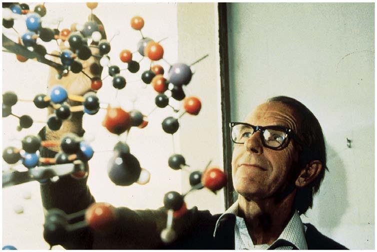Frederick Sanger Proteins are made from individual amino acid building blocks. By the 1950s this had been long known from the analyses of protein hydrolyzates that yielded free amino acids.