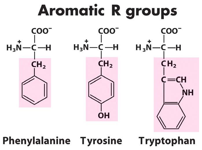 grouping amino