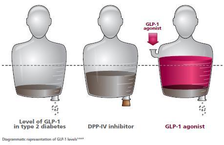Impaired GLP-1 physiology in type 2 diabetes is compensated by a GLP-1 receptor agonist GLP-1RA provides a higher level of GLP-1, which can help restore patients insulin response and improve clinical