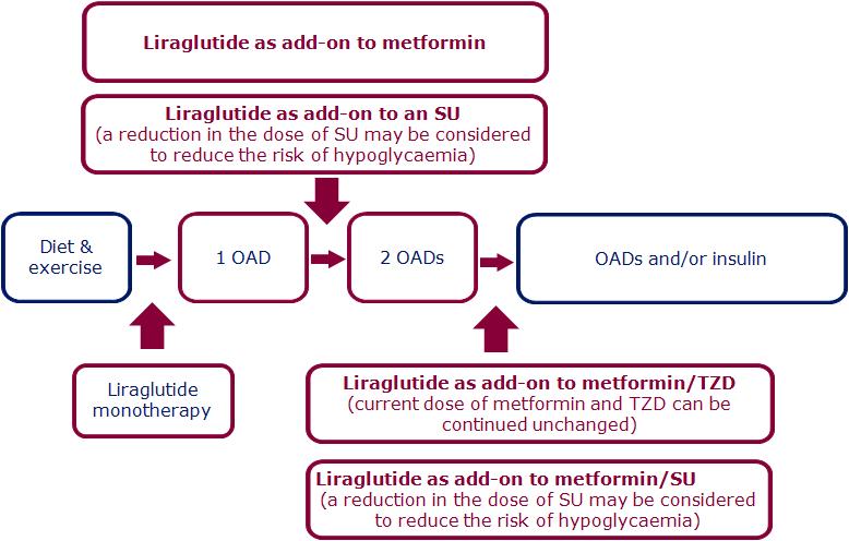 Liraglutide is effective across the continuum of care in type 2