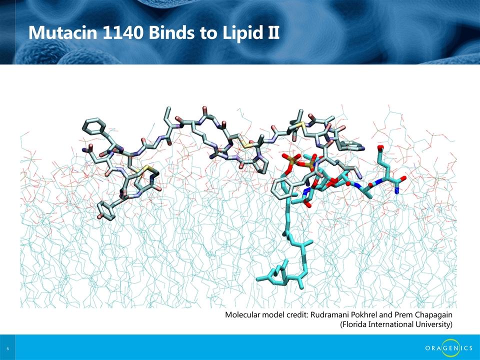 Mutacin 1140 Binds to Lipid II Molecular model credit: