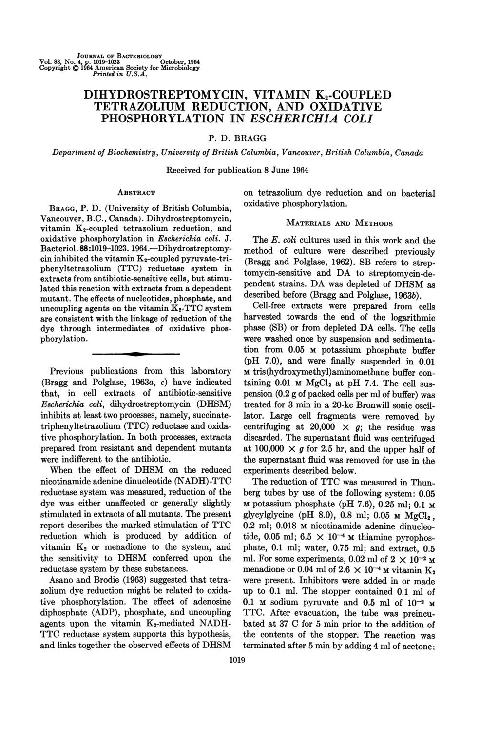JOURNAL OF BACTERIOLOGY Vol. 88, No. 4, p. 1019-1023 October, 1964 Copyright 1964 American Society for Microbiology Printed in U.S.A. DIHYDROSTREPTOMYCIN, VITAMIN K2-COUPLED TETRAZOLIUM REDUCTION, AND OXIDATIVE PHOSPHORYLATION IN ESCHERICHIA COLI P.