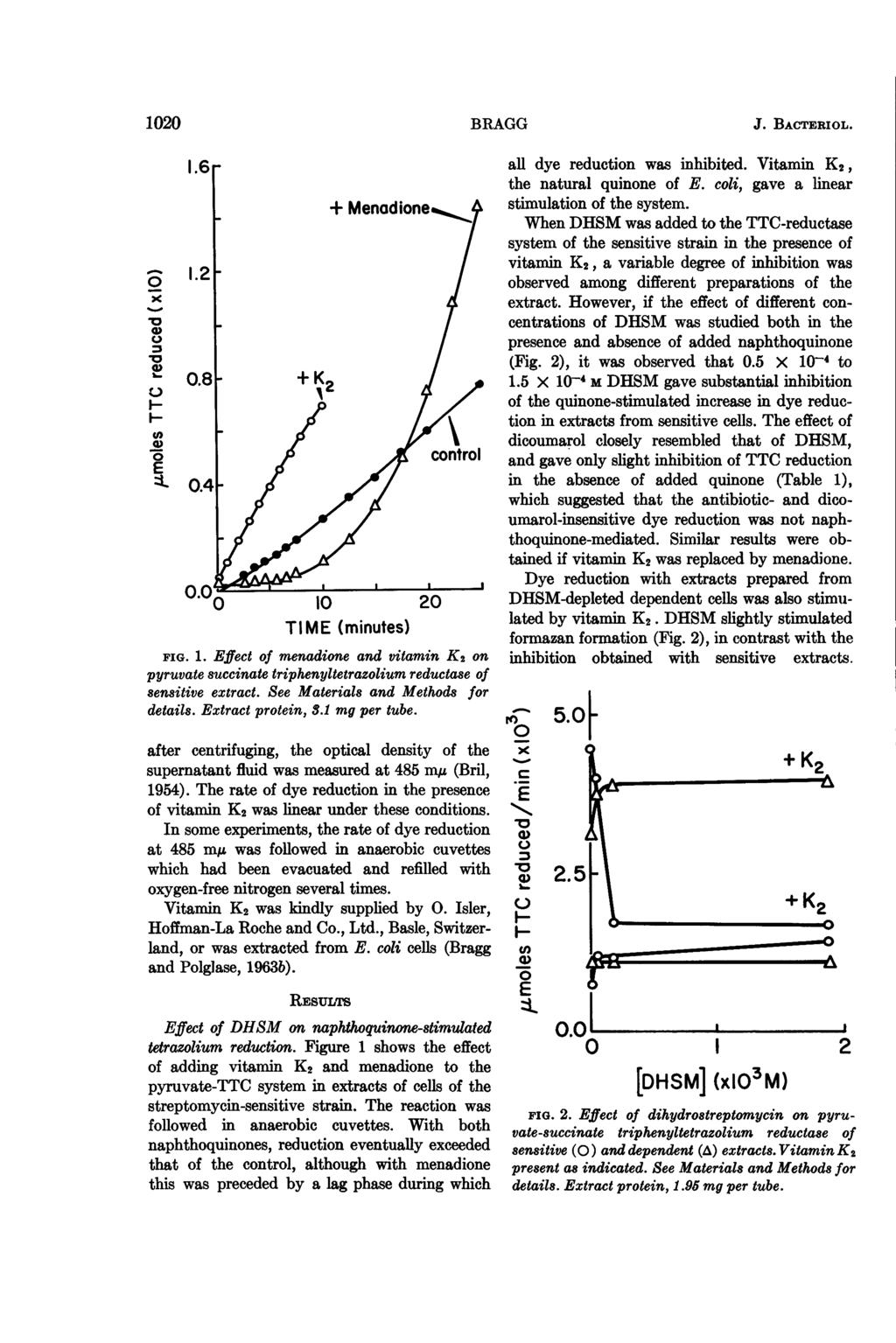 1020 BRAGG O1 1.2 0 0.8 + K V 5 J. BACTERIOL. all dye reduction was inhibited. Vitamin K2, the natural quinone of E. coli, gave a linear stimulation of the system.