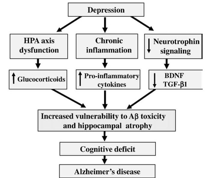 From depression to Alzheimer's disease: neurobiological links and