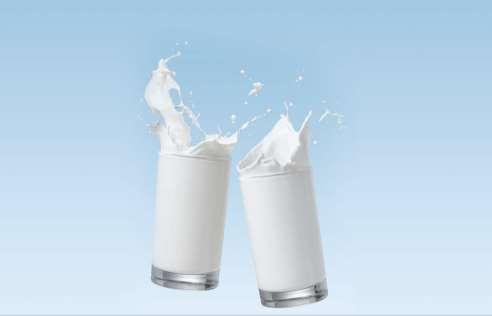 A HEALTHY FOOD Milk products are associated with a reduction in risk for