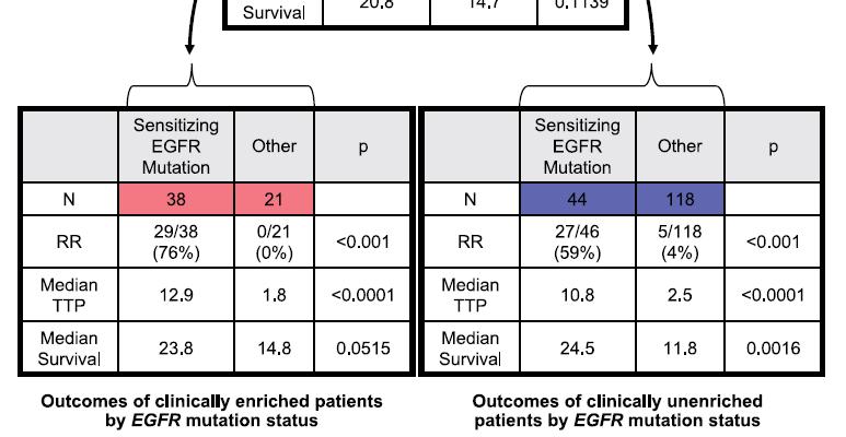Patients Treated with EGFR-TKis