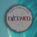 With four decades of achievement behind us and access to the world s premiere medical experts, better outcomes for patients start here. About EXCEMED.