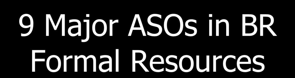 9 Major ASOs in BR Formal Resources Baton Rouge AIDS Society HIV/AIDS