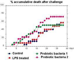 Immunostimulation and disease resistance % accumulative death Cod larvae bathed in LPS from Asa and challenged
