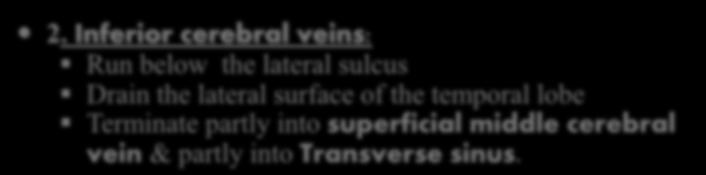 Inferior cerebral veins: Run below the lateral sulcus Drain the