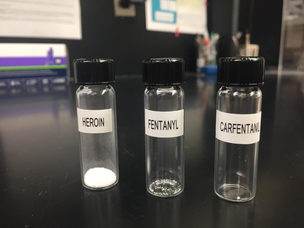 Lethal Doses of