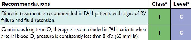 22 Recommendations for PAH