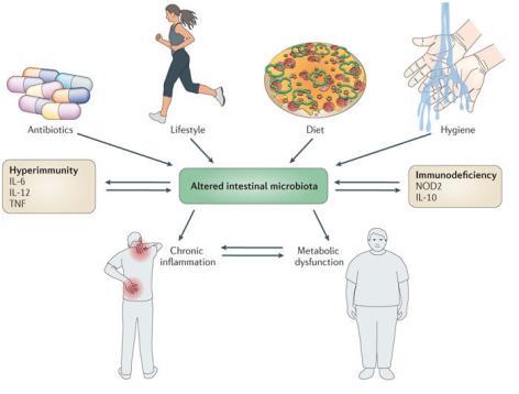 Slide 19 Factors shaping intestinal microbial composition and effects of dysbiosis on host health Sommer & Bäckhed. 2013.