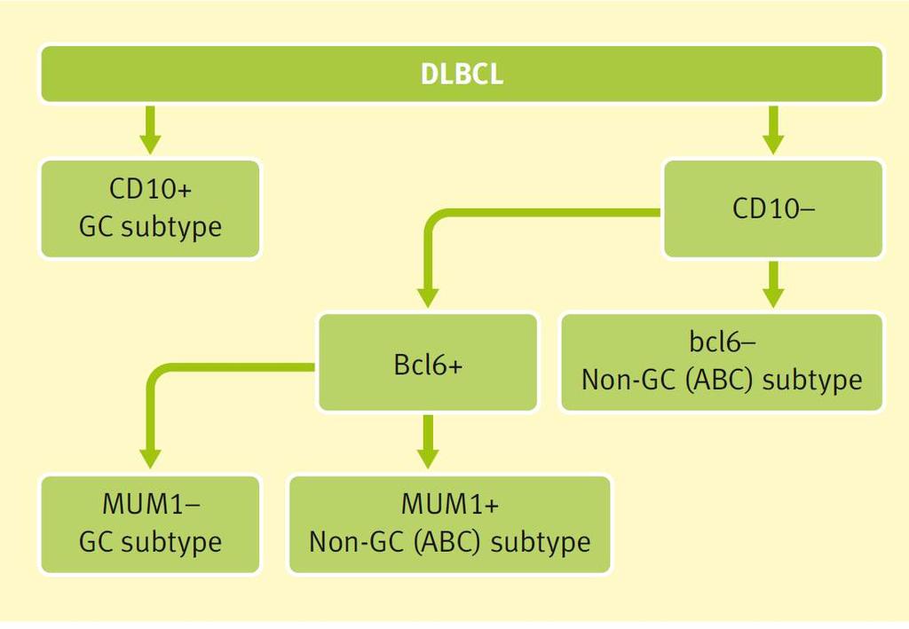 DLBCL - the HANS Classifier: Germinal