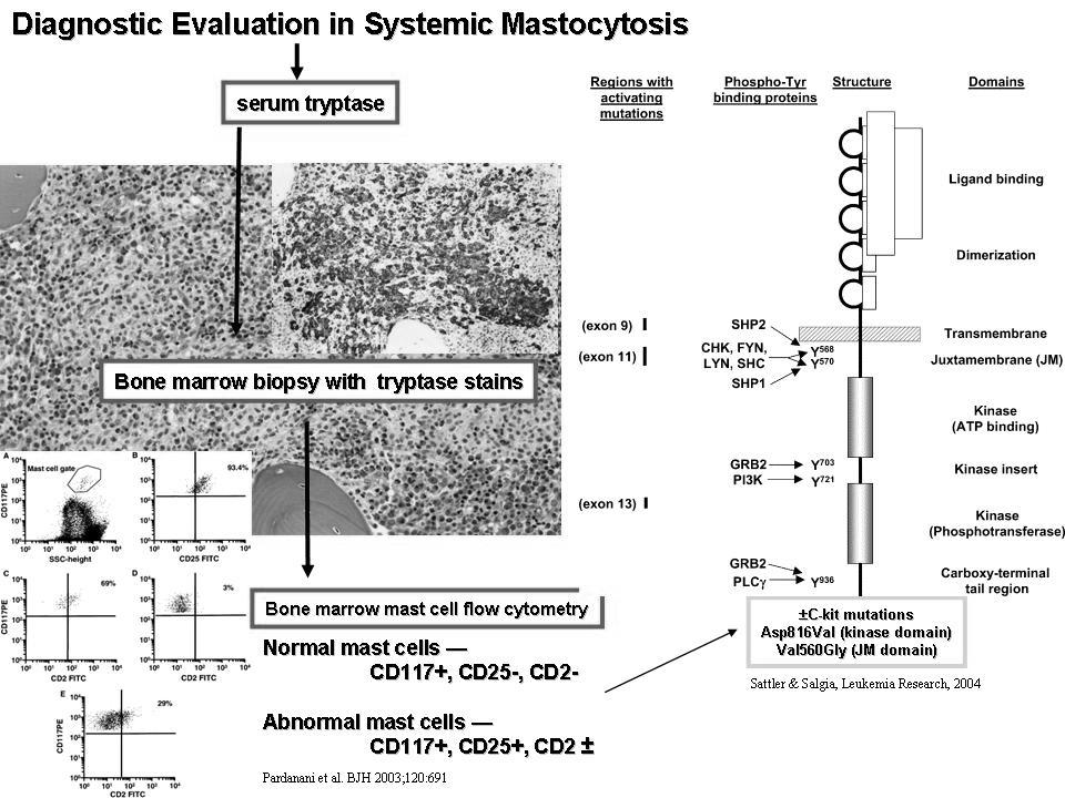 Hydroxyurea Interferon alpha Imatinib Mepolizumab Alemtuzumab Practical classification of mast cell disease 1 Cutaneous mastocytosis (skin-only disease) Both can manifest mast cell mediator release