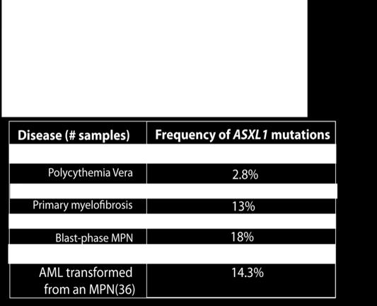 Somatic ASXL1 Mutations in MPN* Like TET2 seen in all myeloid