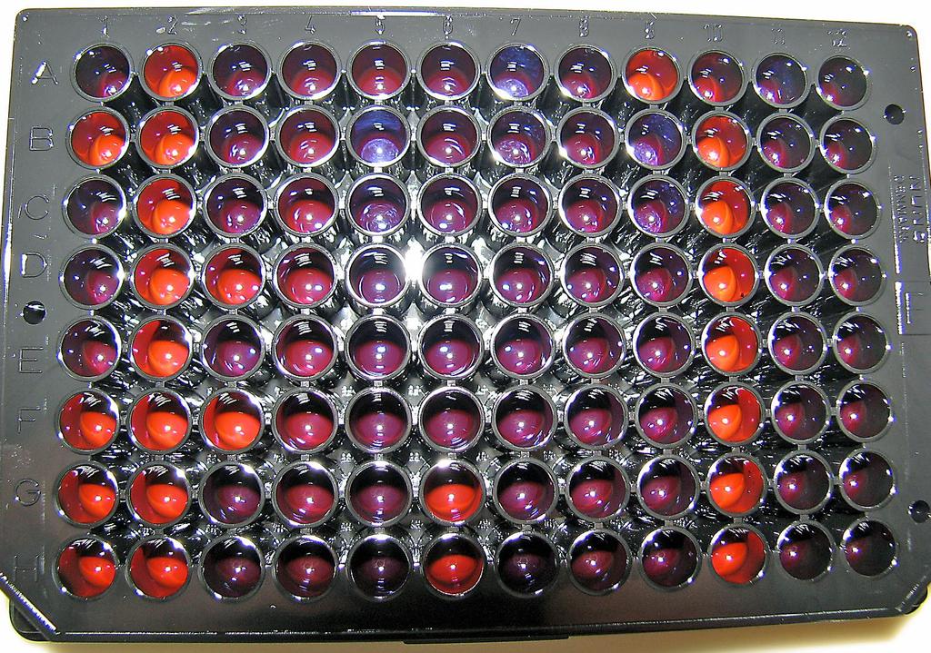 XLIII Slika 12: Dodajanje barvila CellTiter-BlueTM v luknjice na mikrotiterski plošči Slika 13: Prikaz mikrotiterske plošče po končani analizi.
