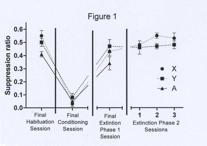 final habituation session, stimuli produced almost no suppression, as can be seen by mean suppression ratios that all exceed 0.4 (See Figure 5). Figure 5 Fear Conditioning.