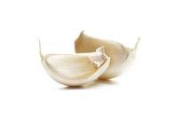 Many years ago we went to great lengths to develop a Garlic product that would reproduce the many active benefits of fresh Garlic.
