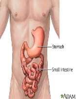 GI Tract 1. Gastrin (stomach) = stimulates HCL production (by parietal cells) 2. Secretin (sm.