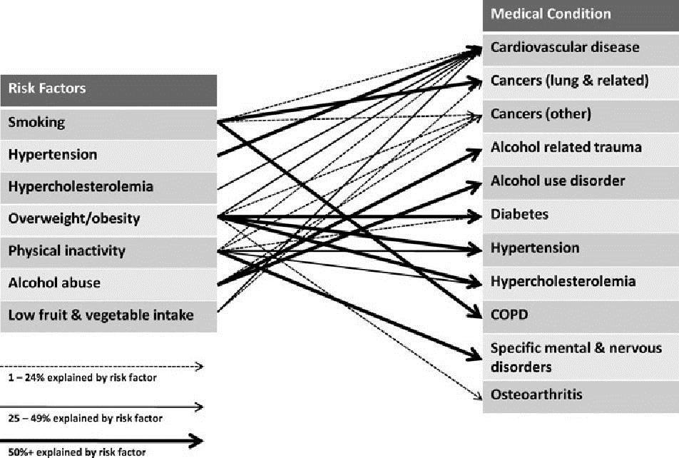Risk Factors and Their Relationships with Medical Conditions (darker lines indicate a stronger relationship) Bolnick, H., Millard, F. & Dugas, J.P. (2013).