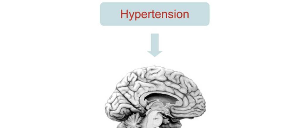 Hypertension,