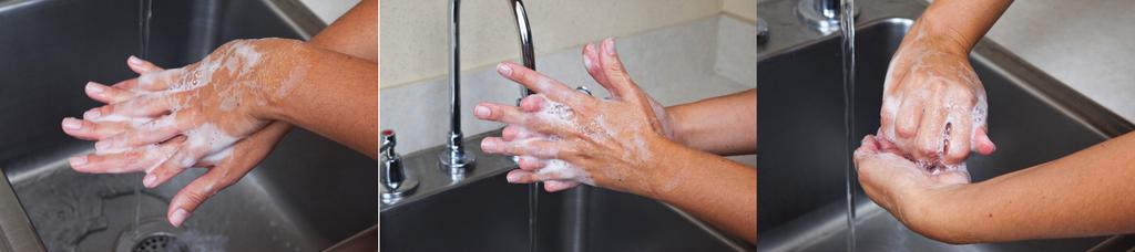 Chapter 2 Acting in an Emergency Skill: Hand Washing continued 3. Wash all areas of your hands and wrists.
