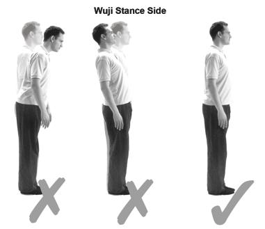 You are now standing upright and balanced in Wuji stance. Standing upright is a vital component in allowing your Qi or energy to flow harmoniously through your body.