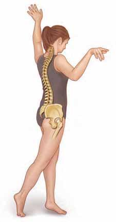 And ligaments are strong bands of tissue that connect and hold vertebrae together. Three Curves of the Spine The neck is one of three curves that make up the spine.
