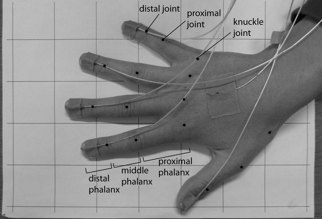 Findings in haptic (re)search Figure.1: Picture of the hand with the sensors. The joint positions are indicated with black circles and labeled for the little finger.