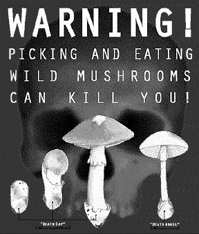 Wild Mushrooms - Amanita 10,000 cases per year Muscarine poisoning 5,000 mushroom species 100 bad, 10 deadly Drugs of Choice Agent Therapeutic use Notes Epinephrine Acute hypersensitivity reaction ie.