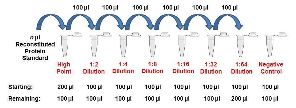To obtain serial dilution high point, dilute reconstituted Protein to the maximum concentration for serial dilution by adding n μl reconstituted