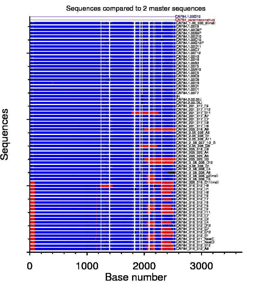 Figure 2.6 Multiple unique recombination breakpoints detected in envelope over time in CAP84.