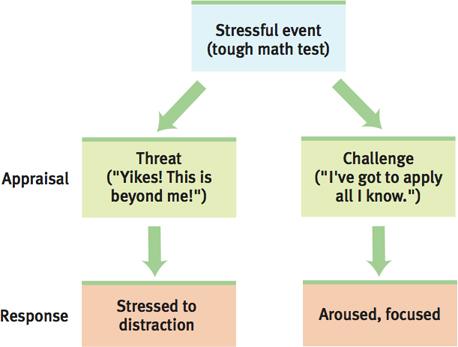 Stress & Illness Stress perceive and respond to