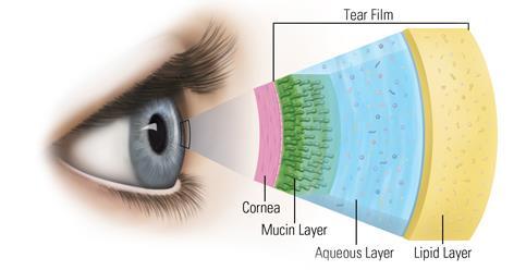 Molecular Data in the Tear Film The tear film contains many of the same biomarkers as the blood Dry eye, Inflammation, allergy, infection Glaucoma, retinal, macular Diabetes (diabetic retinopathy)