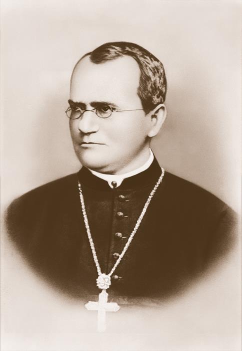 Gregor Mendel Father of Modern Genetics Austrian Monk Work occurred in 1850s His work provides framework of what we know today Traits are distinguishing characteristics that are inherited.