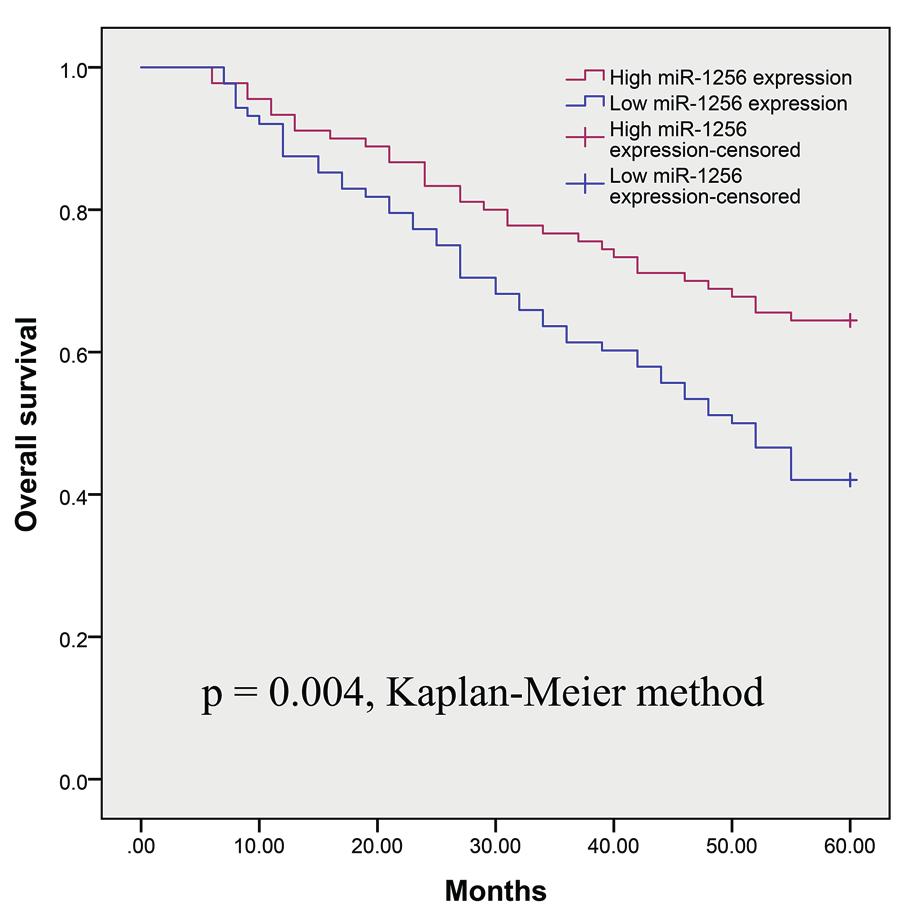 004, log-rank test). Figure 3. Kaplan-Meier curves for disease-free survival of mir-1256 in CRC patients, divided according to mir-1256 expression levels.