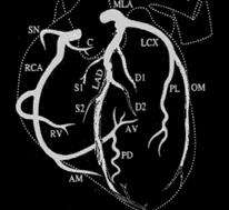 Coronary MRA: Requirements Small Tortuous Motion Coronary Flow Epicardial Fat Muscle High Resolution (< mm) Large Coverage Gating