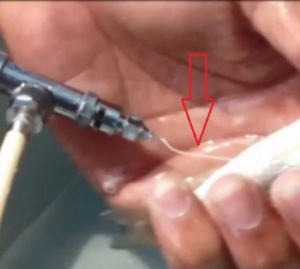 syringe before the whole vaccine dose has been