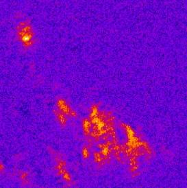 emission (lower) images of (a) ZnO