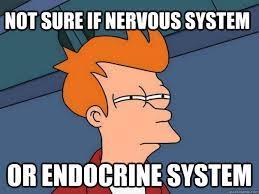 The Endocrine System The endocrine system consists of glands that secrete