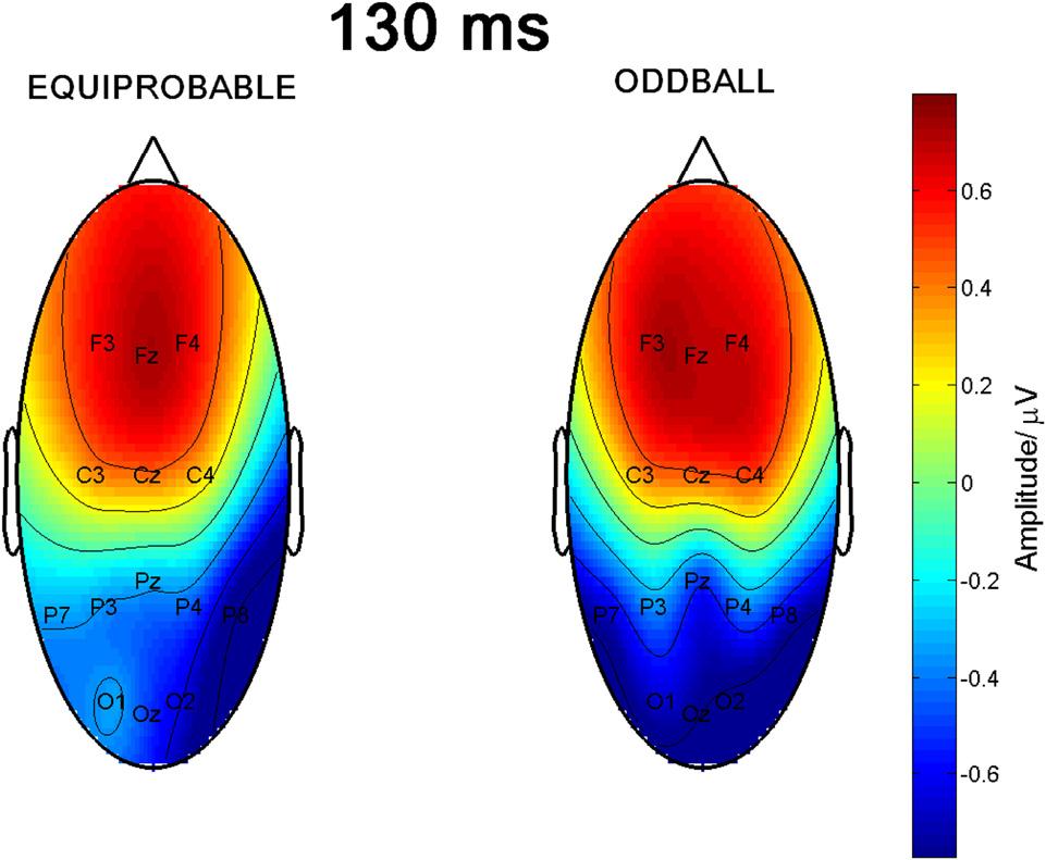 Astikainen et al. FIGURE 6 Scalp potential maps of the 130-ms component back-projected to the electrodes.