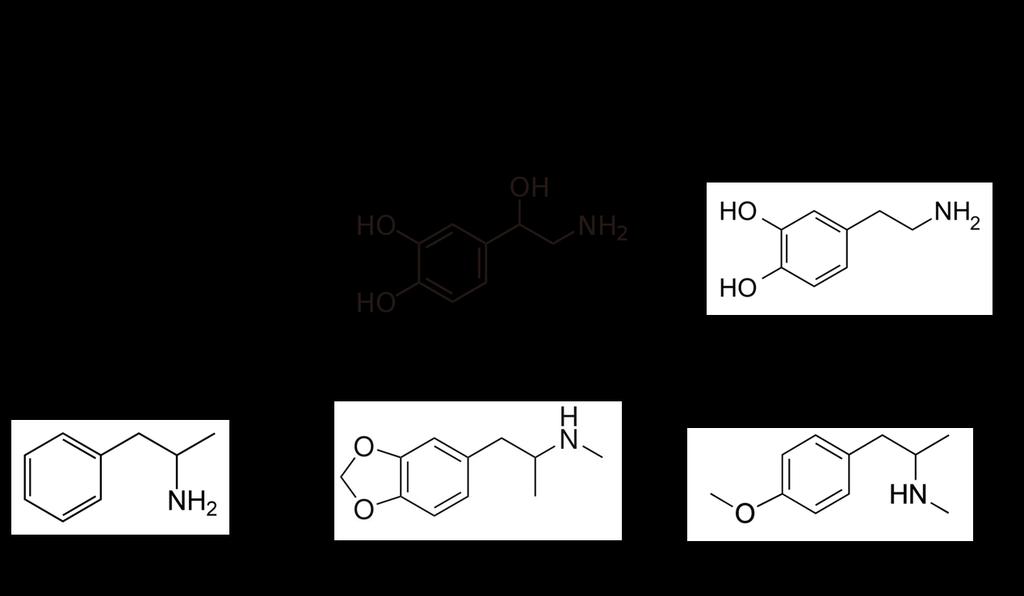 Errebisio-artikulua Era berean, talde honen barruan azpitalde batzuk ditugu, egitura kimikoaren arabera sailkatuak.
