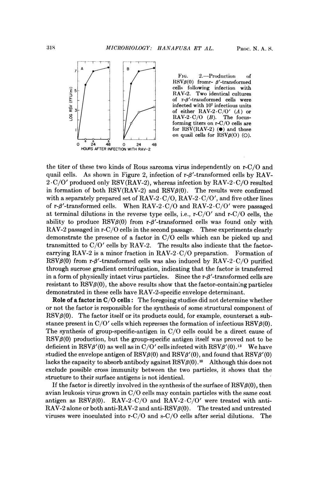 318 MICROBIOLOGY: HANAFUSA ET AL. Puoc. N. A. S. FIG. 2.-Productioii of i- SVO(O) fromr- #'-transformed 5 f I cells following infection with RAV-2.