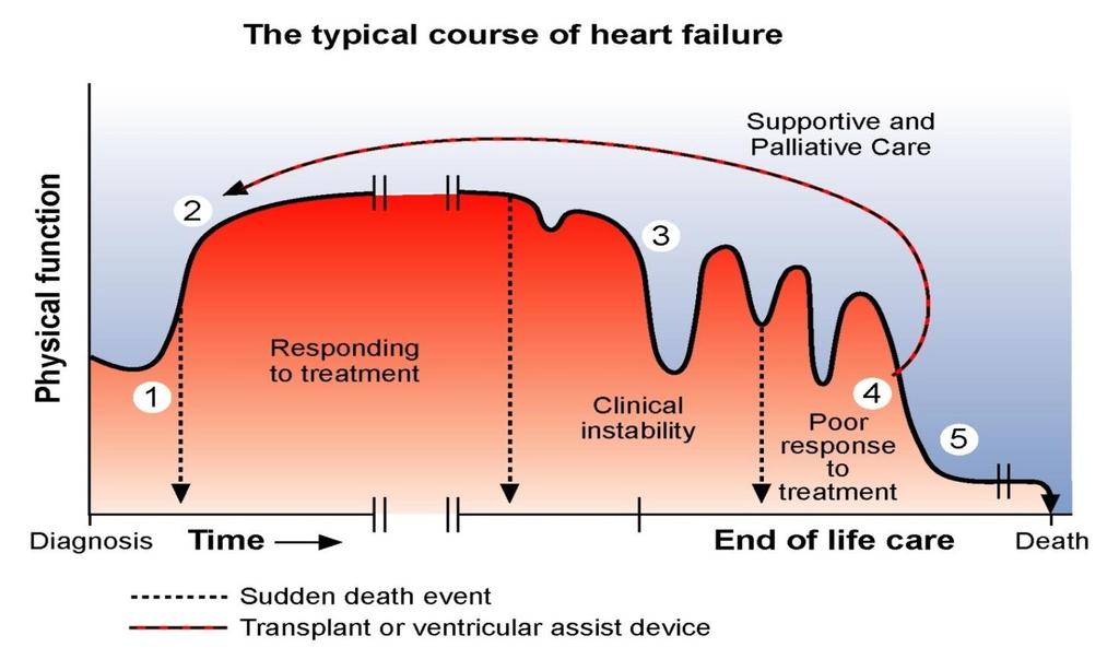 The heart failure disease trajectory Mild 12% 24% 64% CHF Other Sudden Death Moderate 26% 59% 15% CHF Other Sudden Death Severe 33% 11% 56%