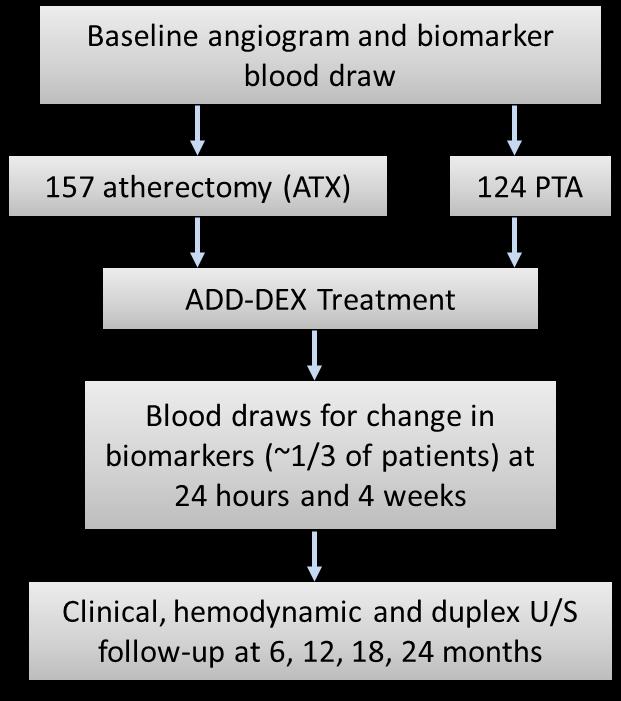 Data from the DANCE Trial (Trial Overview) Multicenter, open-label trial in two populations: primary atherectomy (ATX) and primary angioplasty (PTA) Primary Endpoints Safety Composite of freedom from